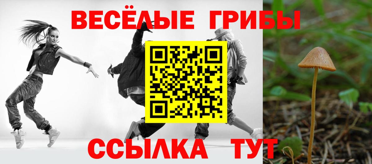 Псилоцибиновые грибы GOLDEN TEACHER  Псилоцибиновые грибы прущие грибы  Вход с VPN  Кропоткин 